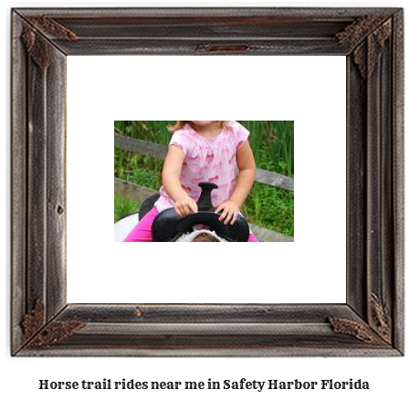 horse trail rides near me in Safety Harbor, Florida